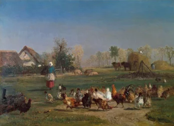 Feeding the Chickens