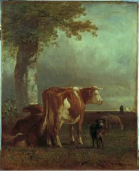 Cows in the Pasture