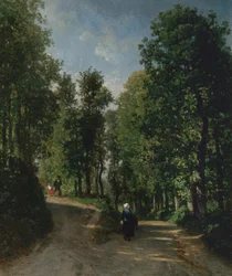 Road in the Woods