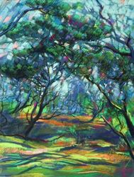 Dappled Forest Path