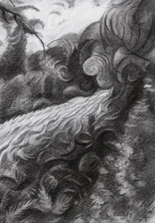 Dark Forest Stream Flow