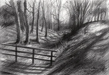 Forest Path Sketch