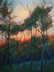 Forest Sunset Glow