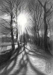 Path of Winter Light