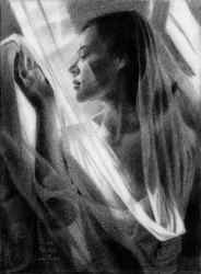 Serene Profile In Light