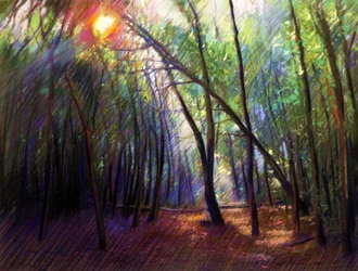 Sunlight Through Trees
