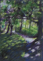 Sunlit Forest Path