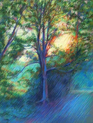 Sunlit Forest Path
