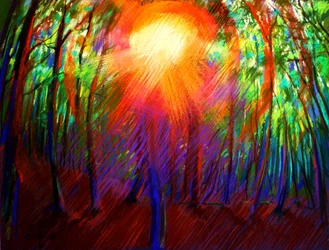 Vibrant Forest Light