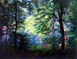 Vibrant Forest Light