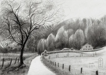 Winding Country Path