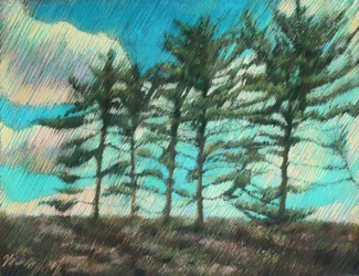 Windswept Pine Trees