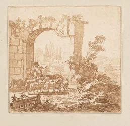 Herd of Goats by a Gate
