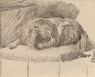 Lying Dog