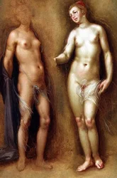 Study of Two Female Nudes