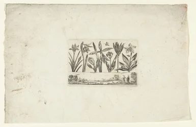 Row of Flowers above Landscape (series title: Flowers and Landscapes)