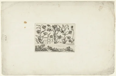 Row of Flowers Above Landscape
