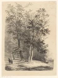 Two Figures Walking in a Forest