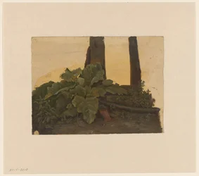 Plants at the Foot of a Tree Trunk