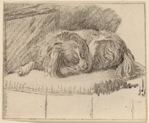 Lying Dog