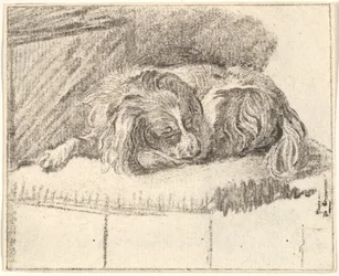 Sleeping Dog, 1777