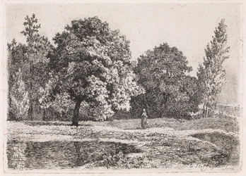 Landscape with Trees, Lake, and a Woman (Fifth Suite)