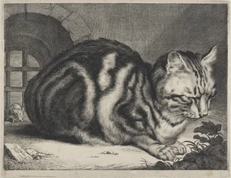 The Large Cat