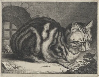 The Large Cat