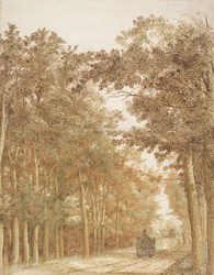 Trail through a Forest