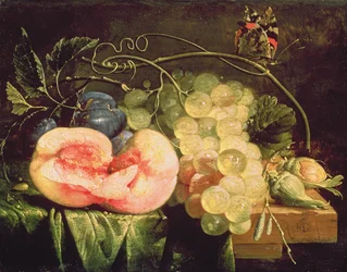 Still Life with Fruit