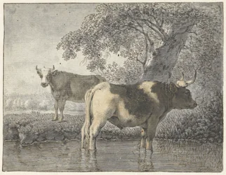Two Cows Under a Tree by the Water
