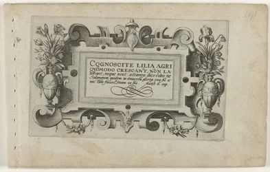 Title Page and Eleven Prints of Flowers, Plants, and Fruit