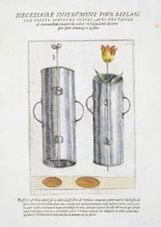 Device for re-planting flowers, from 