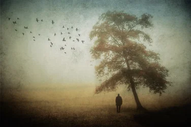 Lone Man Autumn Mist