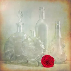 Vintage Bottles Red Flower
