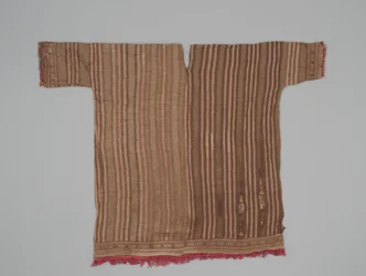 Sleeved tunic