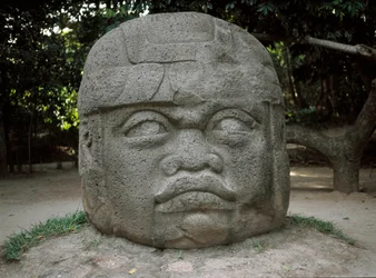 Colossal Head