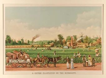 A Cotton Plantation on the Mississippi