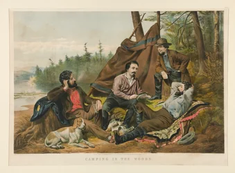 Camping in the Woods