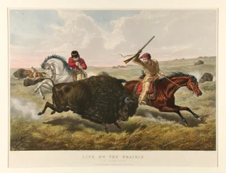 Life on the Prairie: The Buffalo Hunt