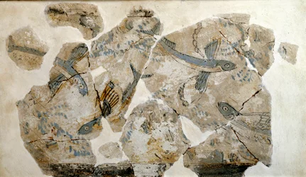 Cycladic art: fragment of fresco depicting flying fish (sea swallows). from the site of Phylakopi (island of Melos) 2500 BC Dim. 23 cm Athens, national archeological museum