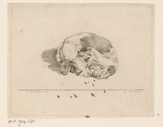Sleeping Puppy