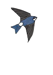House Martin