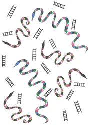 Snakes & Ladders, 2024