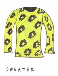 Sweater