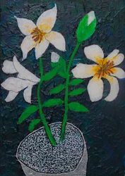 Potted White Lilies