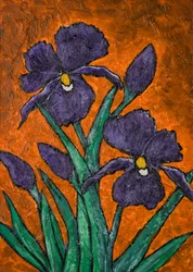 Vibrant Purple Irises