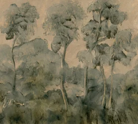Forgotten Forest