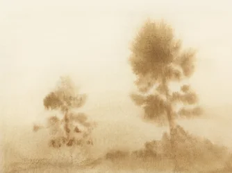 Misty Meadow