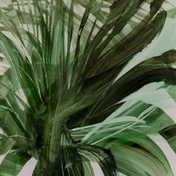 Palms